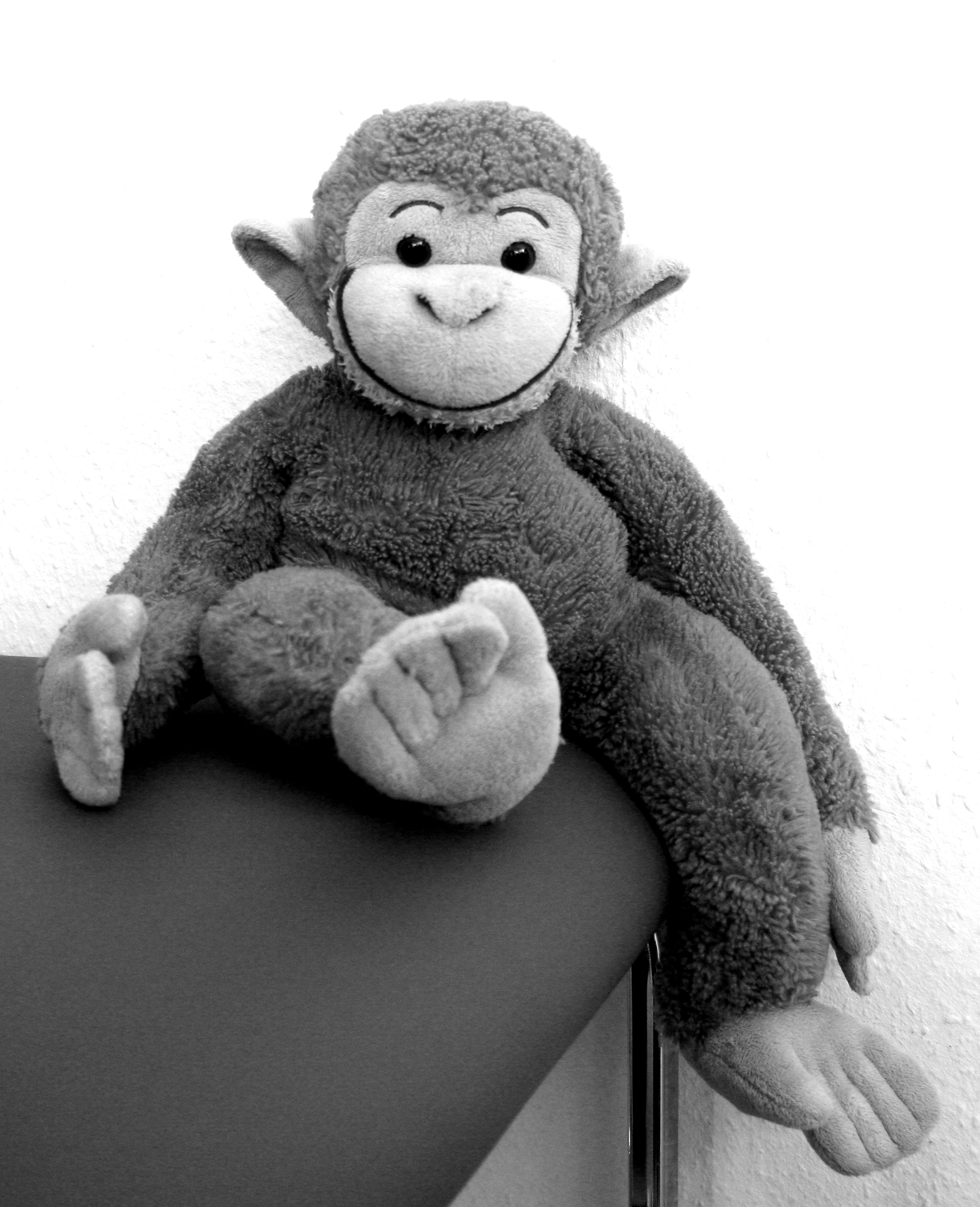 Monkey Logo